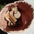 画像3: 自然木の積み木＆子どもの絵袋　セット (3)