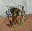 画像2: 枝垂れイロハモミジ（苗木の生産販売） (2)